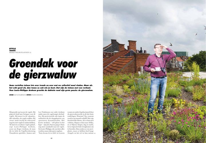 Magazine, reeks Wilde plannen: Groendak voor de gierzwaluw