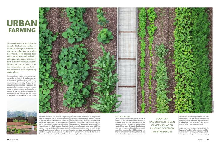 Imagicasa Real Estate: Urban farming