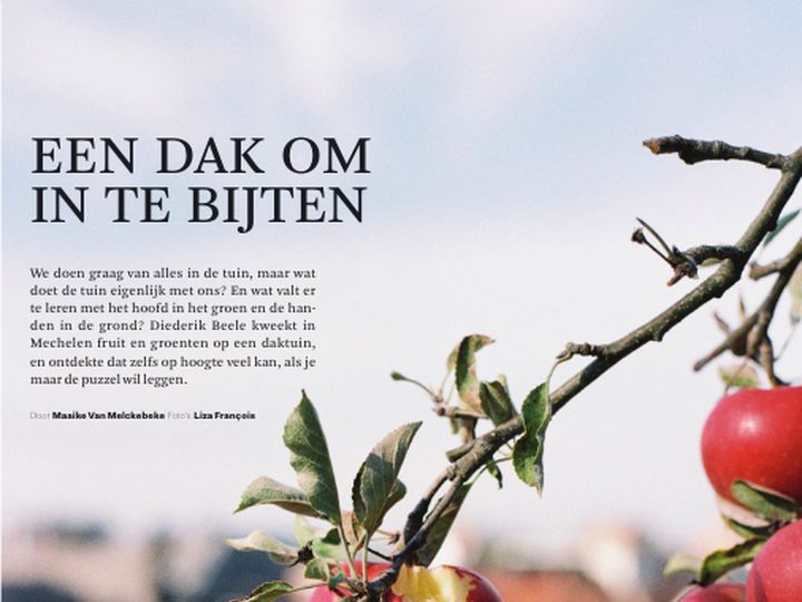De Standaard: Een dak om in te bijten