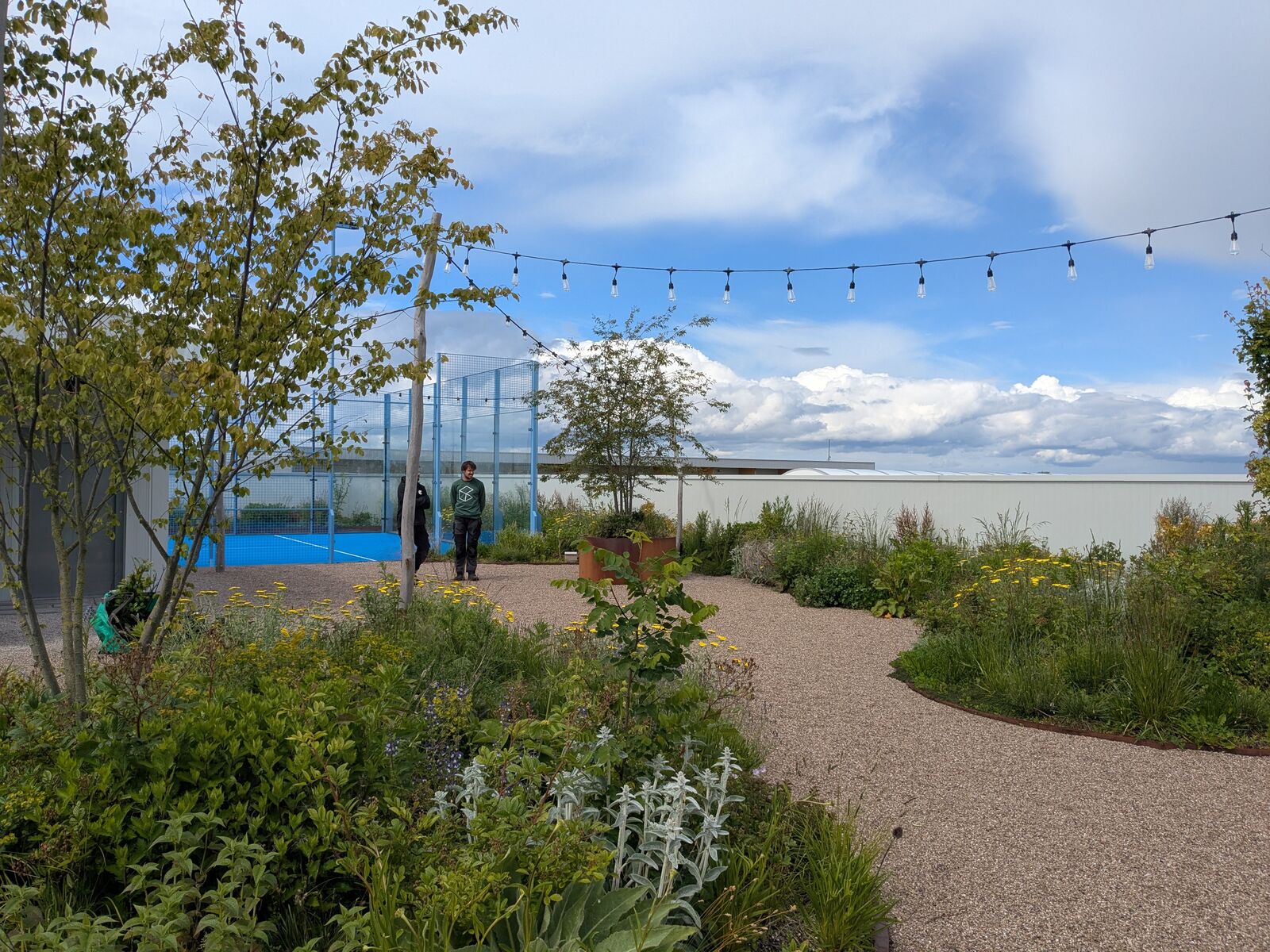 Retentiedaktuin met padelveld, Deinze, foto 2