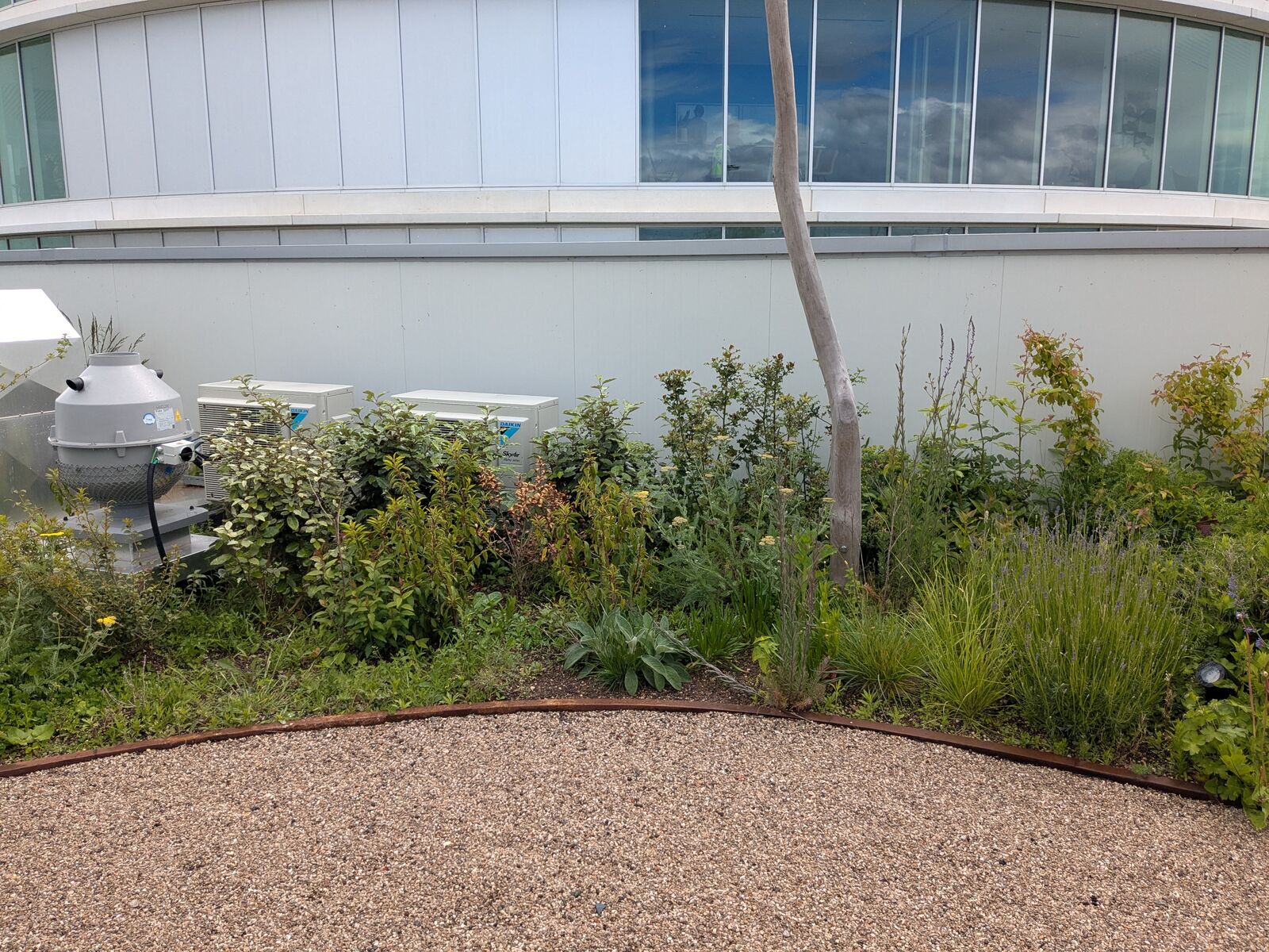 Retentiedaktuin met padelveld, Deinze, foto 4