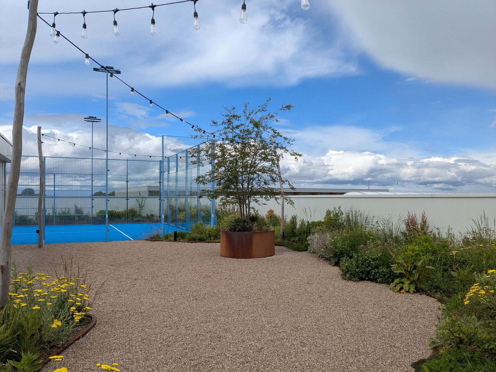 Retentiedaktuin met padelveld, Deinze, foto 6