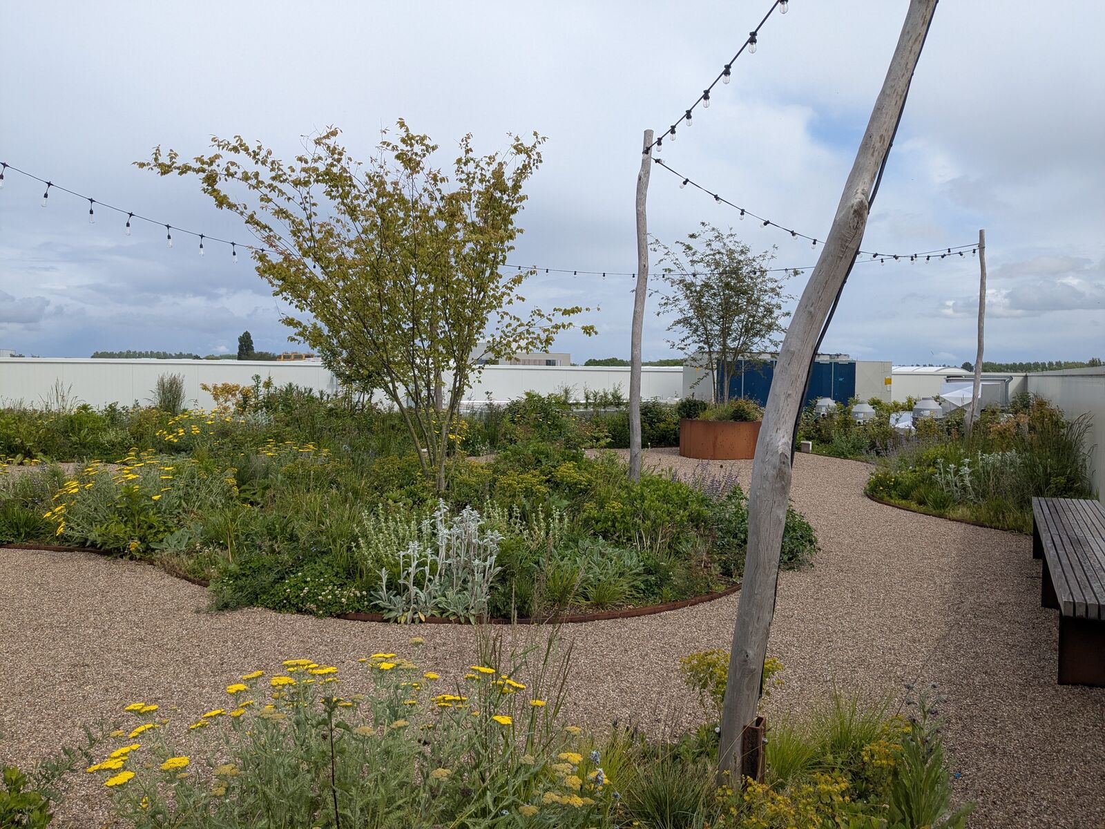 Retentiedaktuin met padelveld, Deinze, foto 7