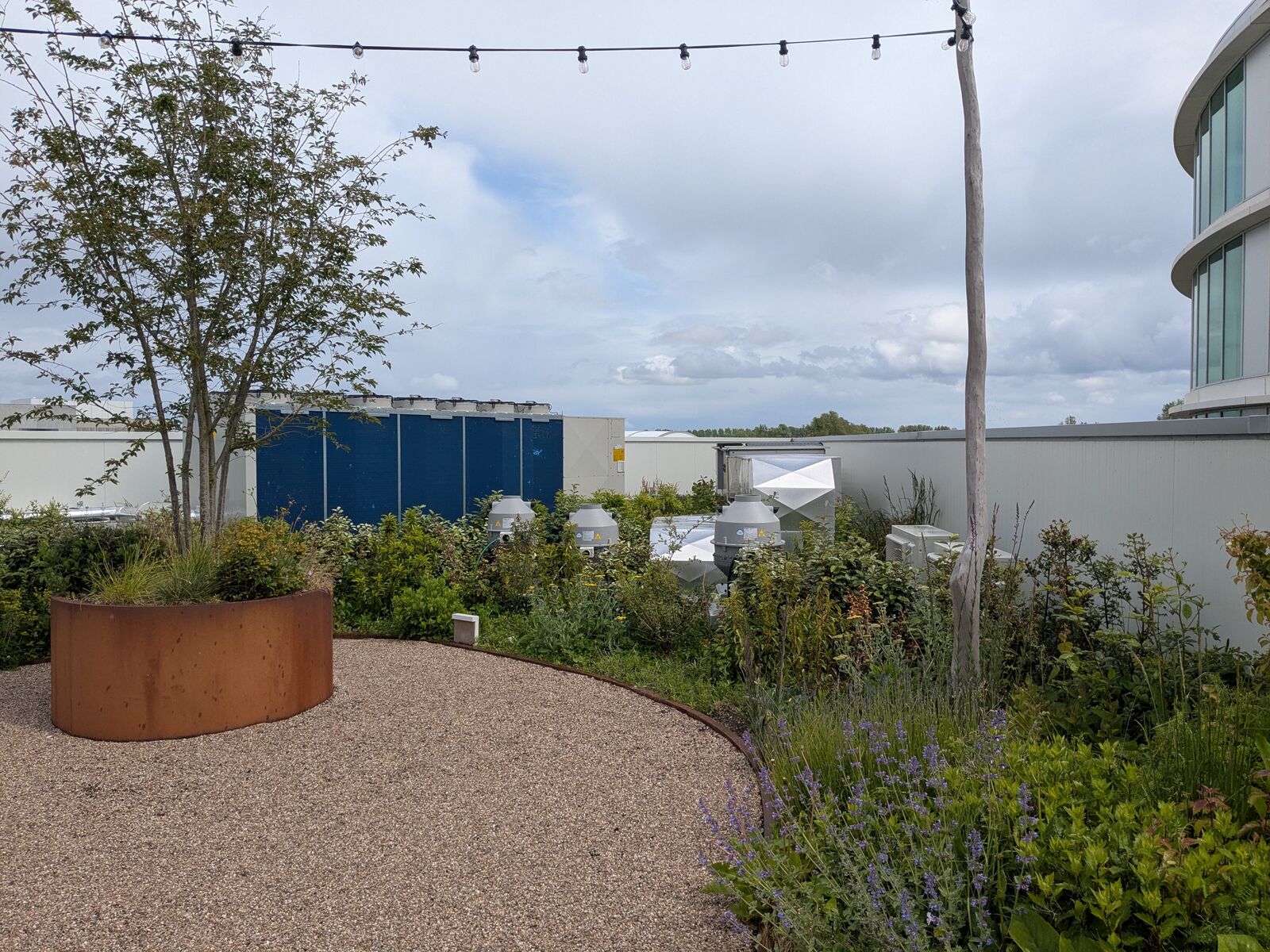 Retentiedaktuin met padelveld, Deinze, foto 8