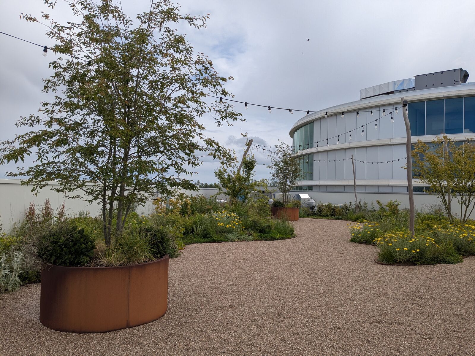 Retentiedaktuin met padelveld, Deinze, foto 9