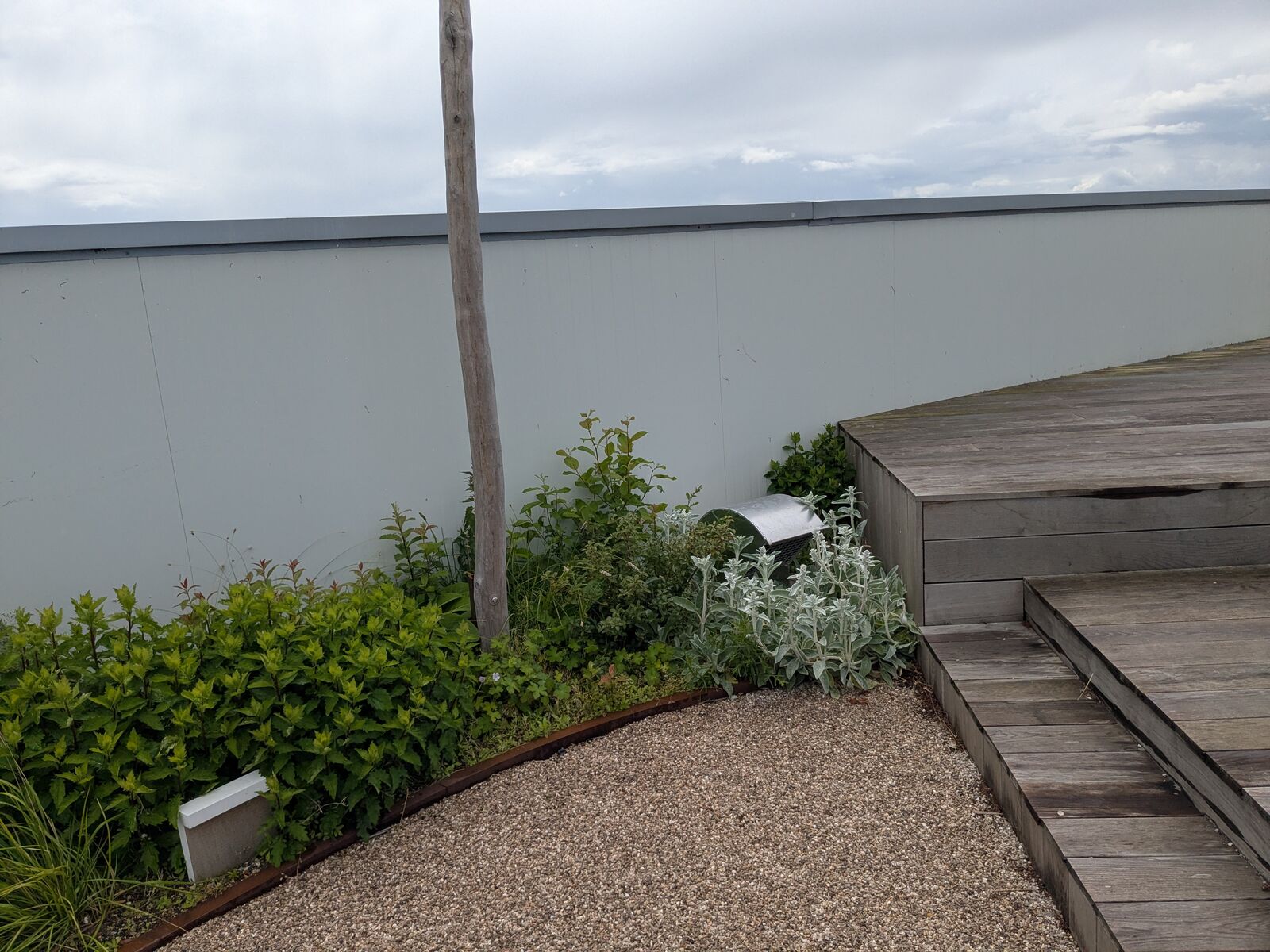 Retentiedaktuin met padelveld, Deinze, foto 12