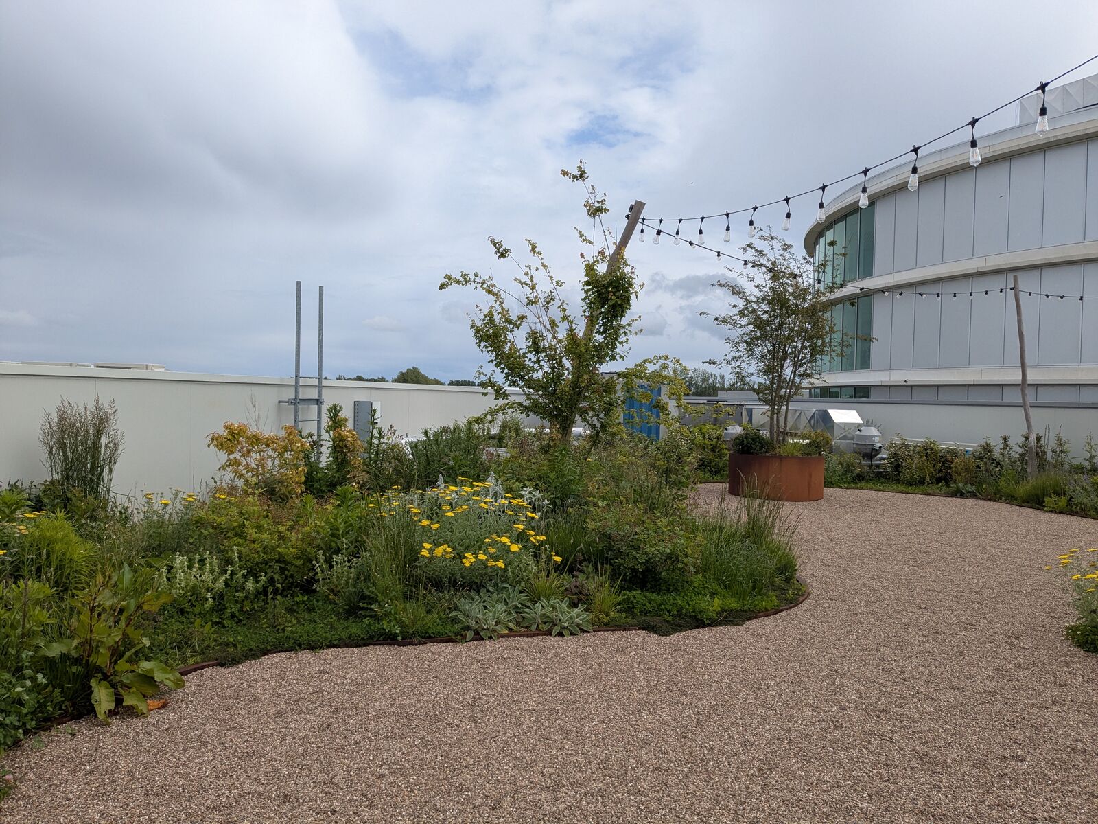 Retentiedaktuin met padelveld, Deinze, foto 13