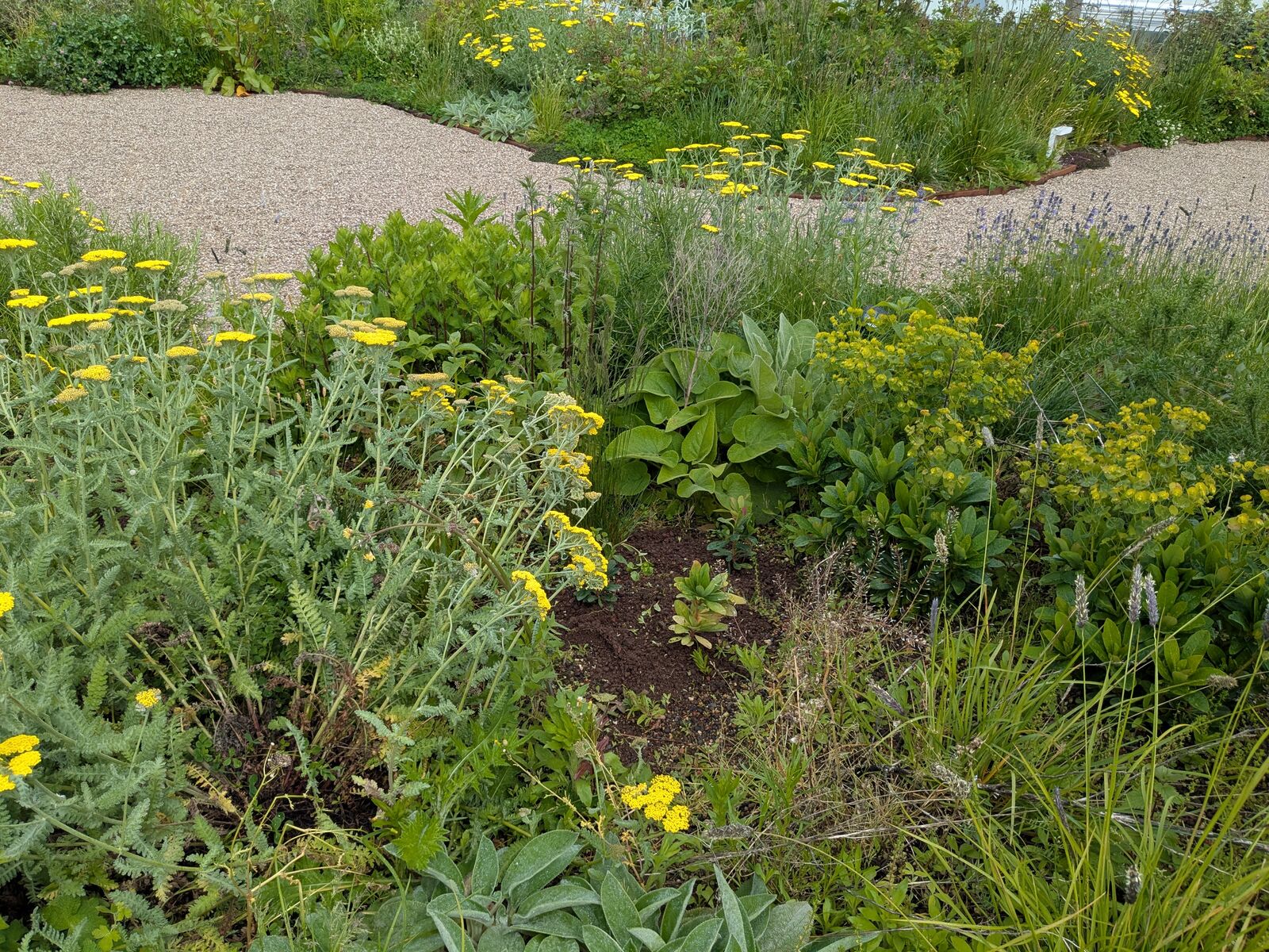 Retentiedaktuin met padelveld, Deinze, foto 14