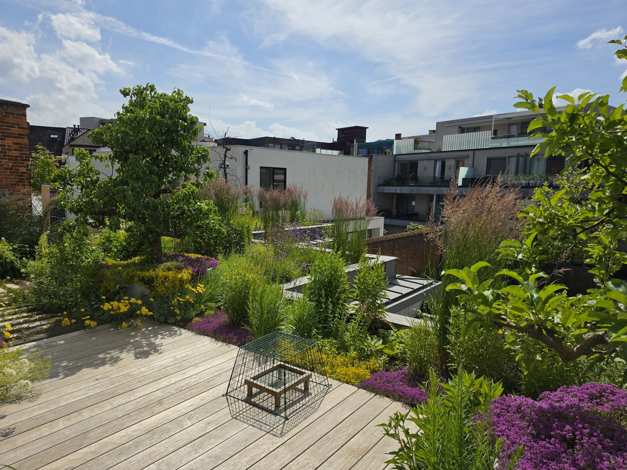 Daktuin, Hasselt