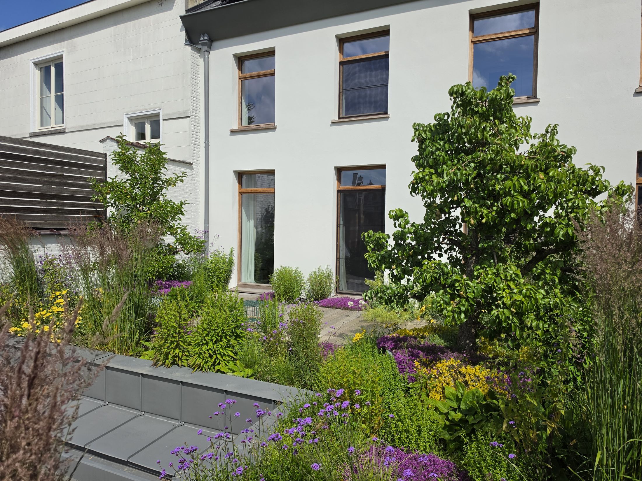 Retentiedaktuin met fruitbomen in Hasselt, foto 15