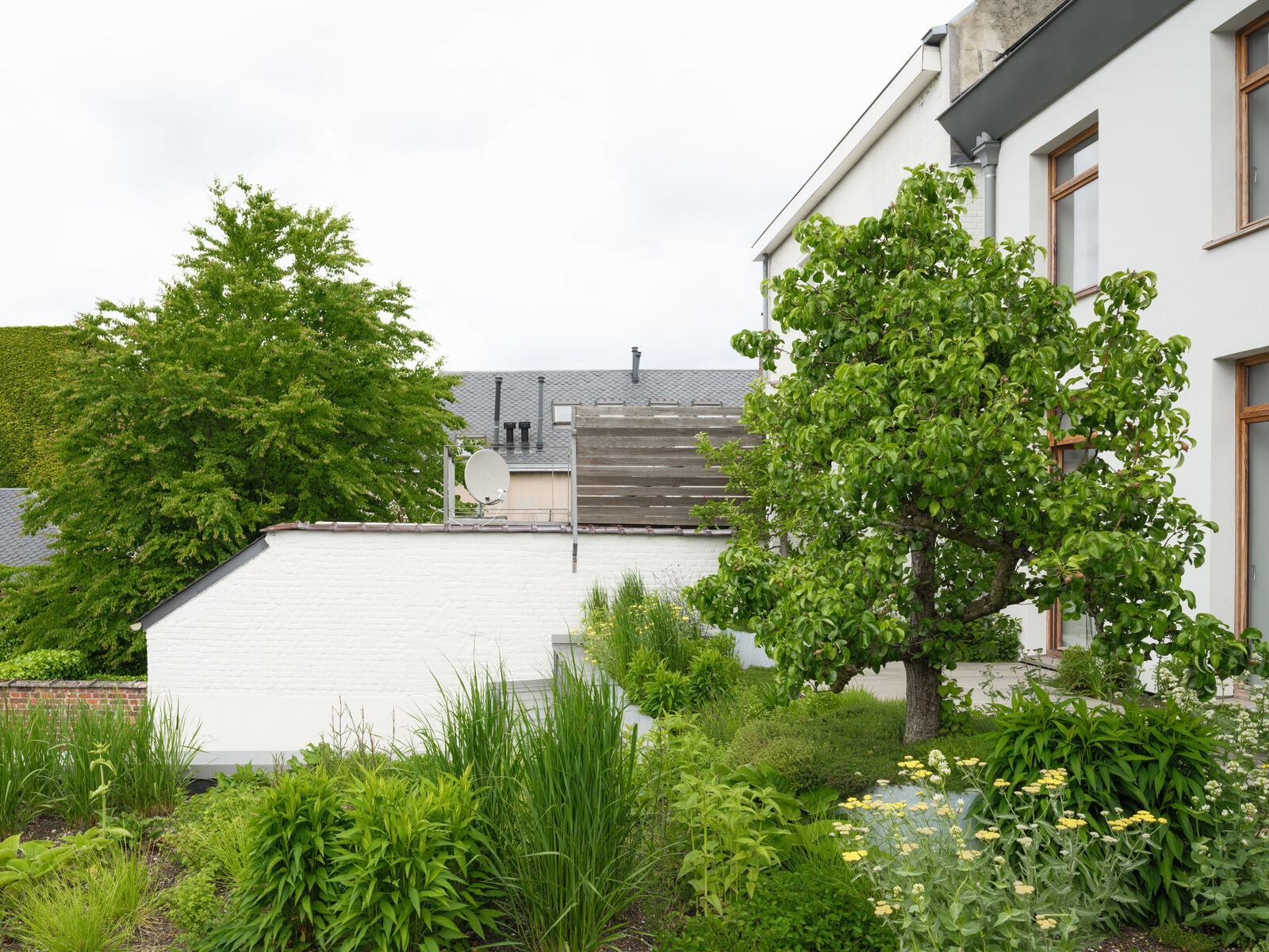 Retentiedaktuin met fruitbomen in Hasselt, foto 16