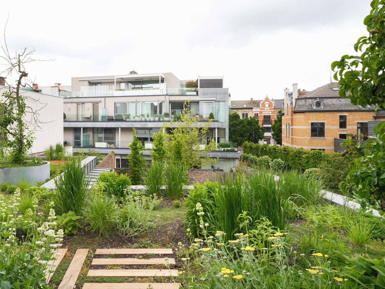 Retentiedaktuin met fruitbomen in Hasselt, foto 17