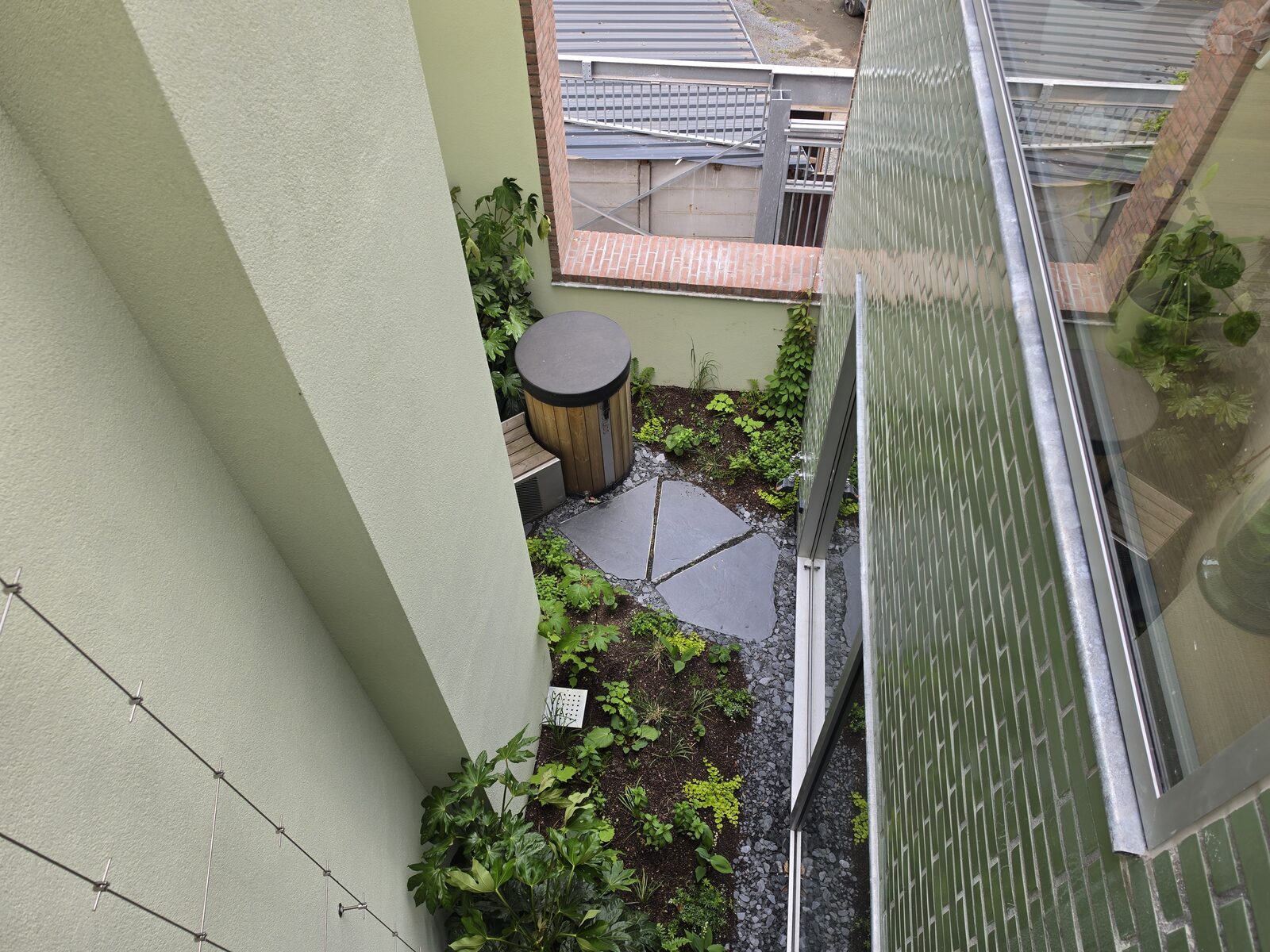 Daktuinen op retentiedak en groengevel in Gent, foto 8
