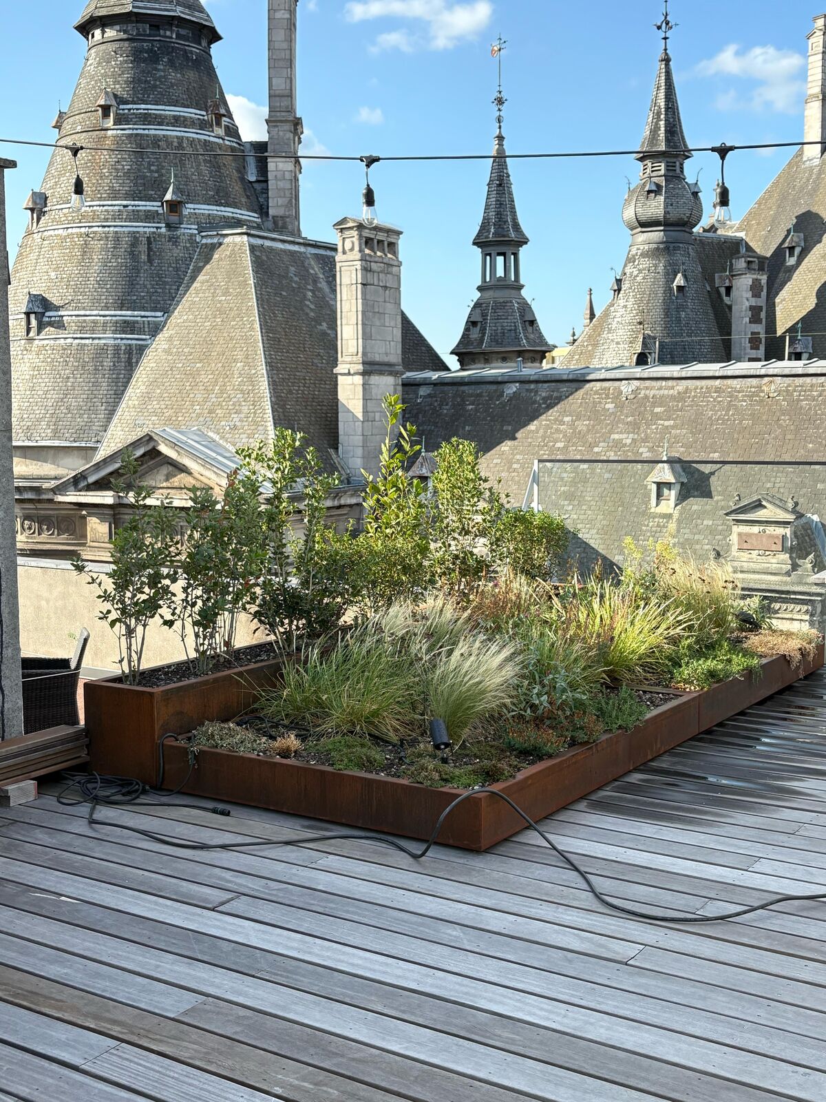 Daktuin in hartje Antwerpen, foto 2
