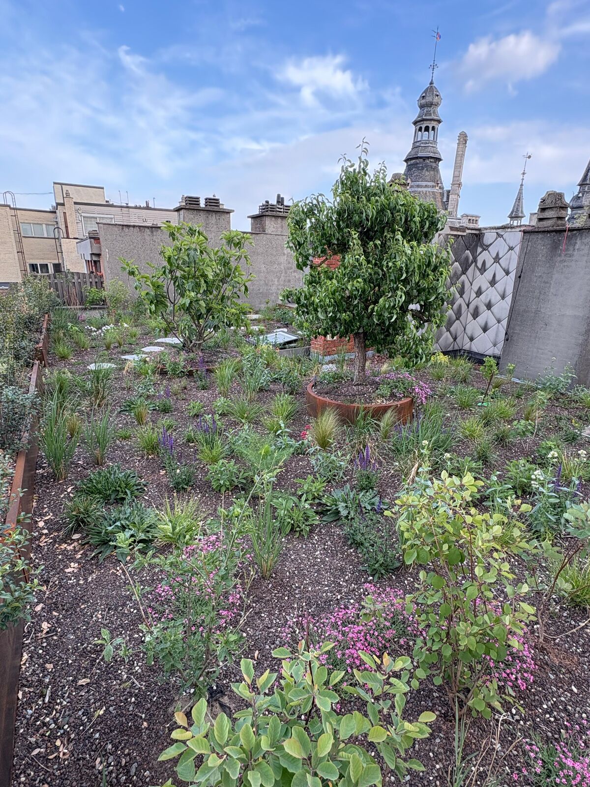 Daktuin in hartje Antwerpen, foto 5