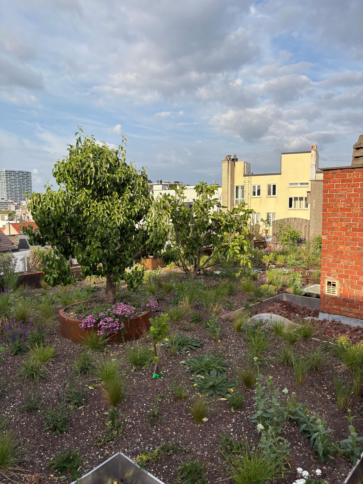Daktuin in hartje Antwerpen, foto 8