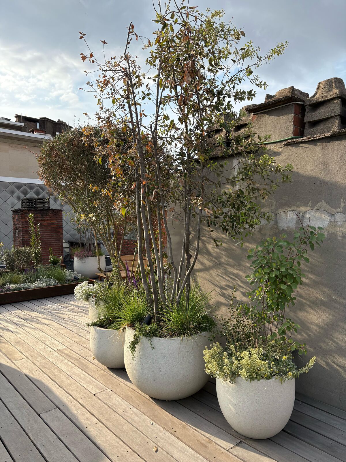Daktuin in hartje Antwerpen, foto 10