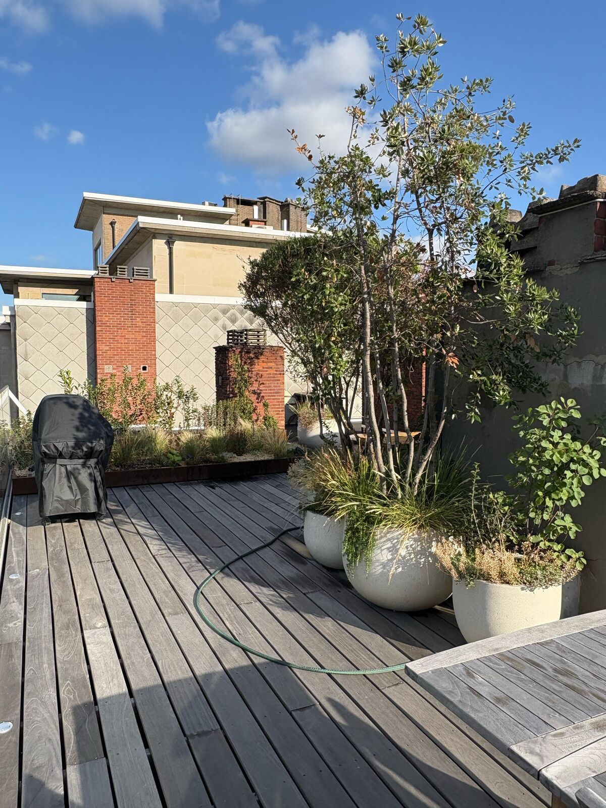 Daktuin in hartje Antwerpen, foto 11