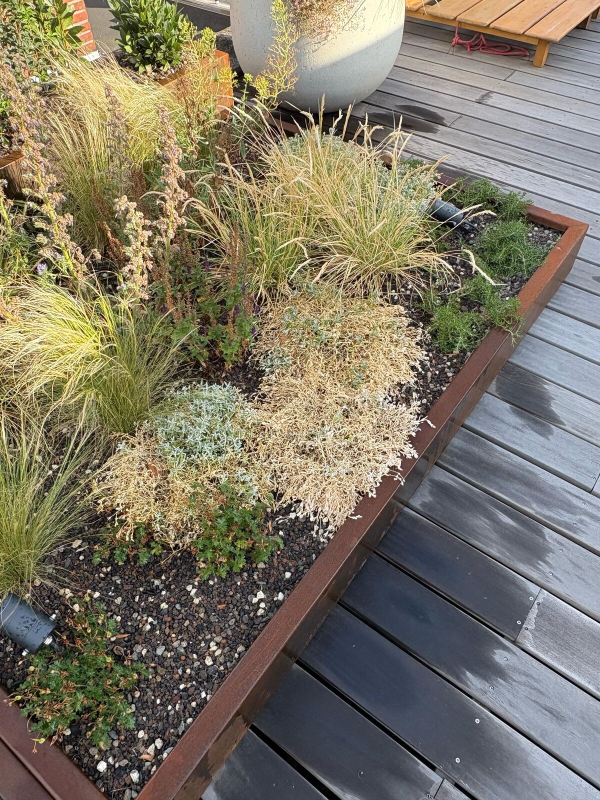 Daktuin in hartje Antwerpen, foto 12