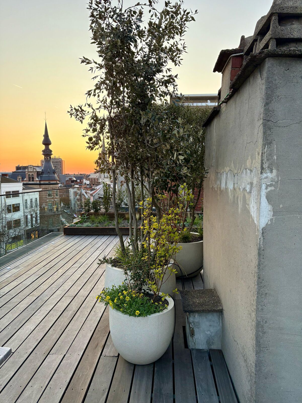 Daktuin in hartje Antwerpen, foto 13