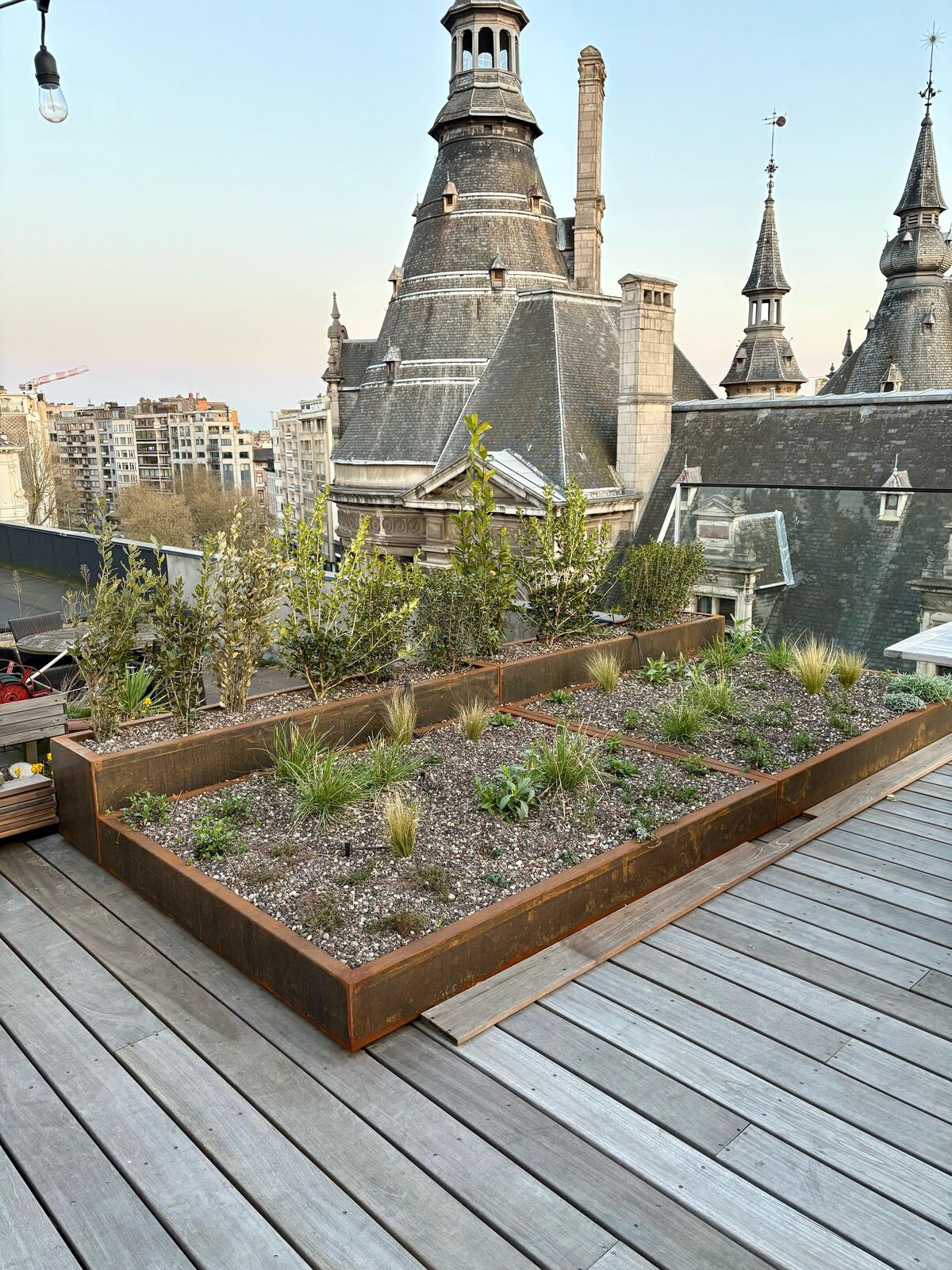 Daktuin in hartje Antwerpen, foto 14