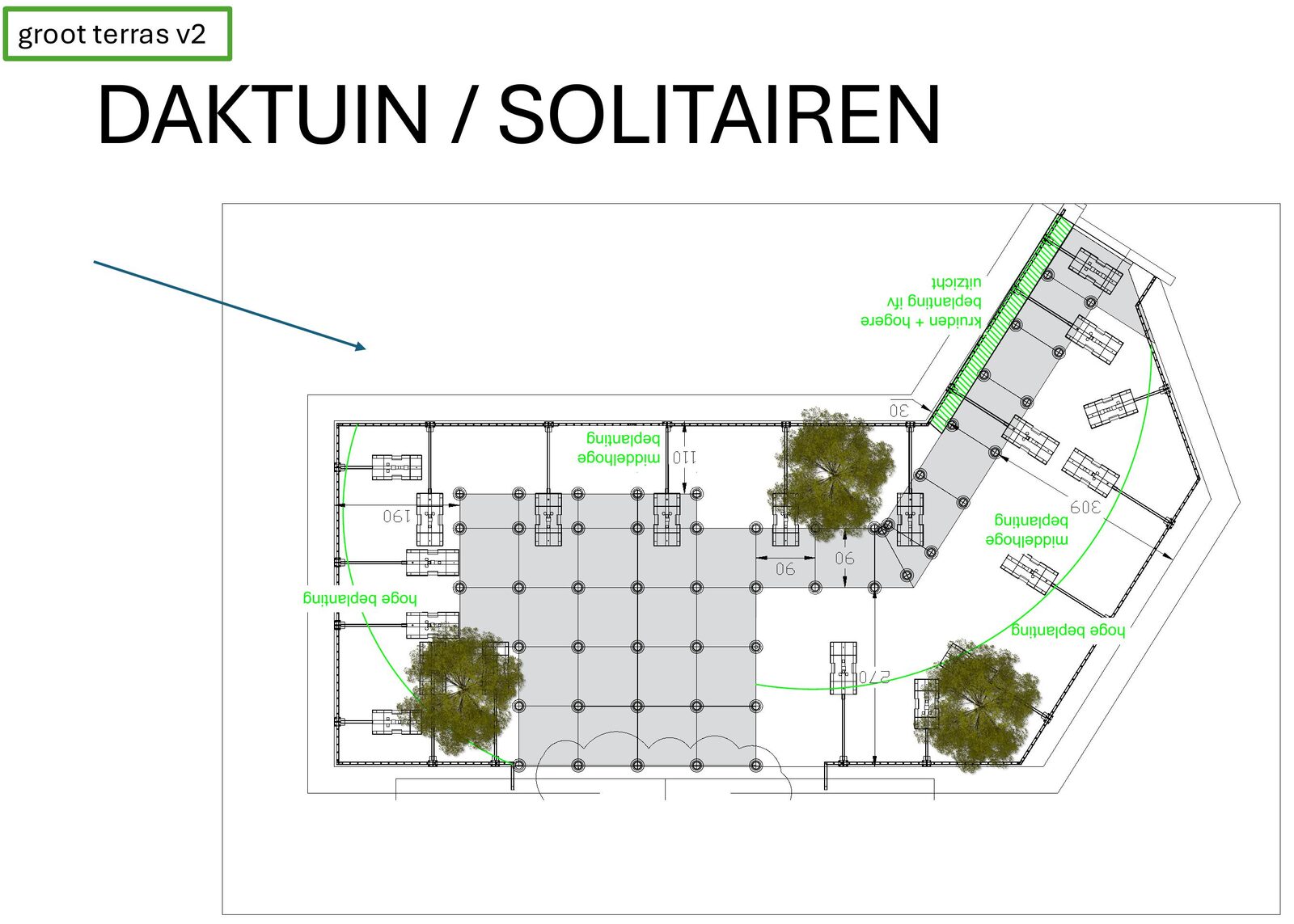 Beplantingsplan van de daktuin met de drie meerstammige solitairen